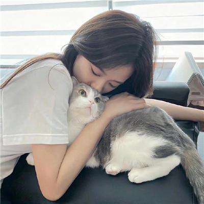 虎豹龙蛇鹰粤语